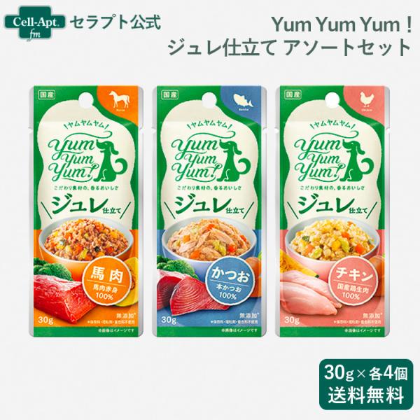 Yum Yum Yum！ ジュレ仕立て 犬用 アソートセット (チキン・かつお・馬肉 30g×各4個...