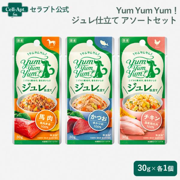 Yum Yum Yum！ ジュレ仕立て 犬用 アソートセット (チキン・かつお・馬肉 30g×各1個...