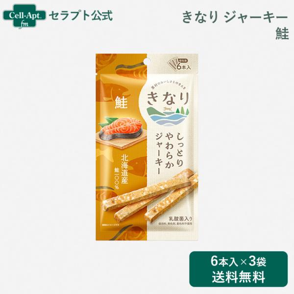 きなり しっとりやわらかジャーキー 鮭 犬用 6本入り×3袋 （63157）