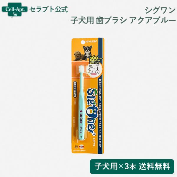 シグワン 子犬用 歯ブラシ アクアブルー×3本　（00629）