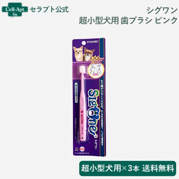 シグワン 超小型犬用 歯ブラシ ピンク×3本　（00353）