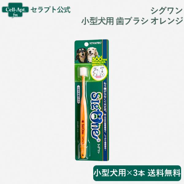 シグワン 小型犬用 歯ブラシ オレンジ×3本　（00315）