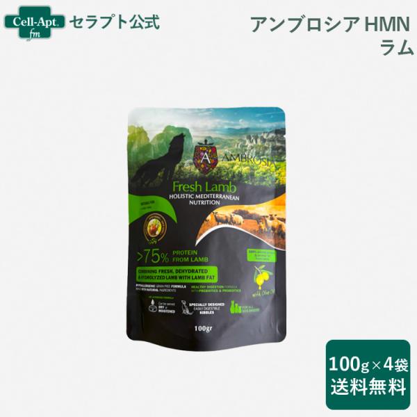 アンブロシア HMN ラム オリーブオイル入り 犬用 100g×4袋 （07330）