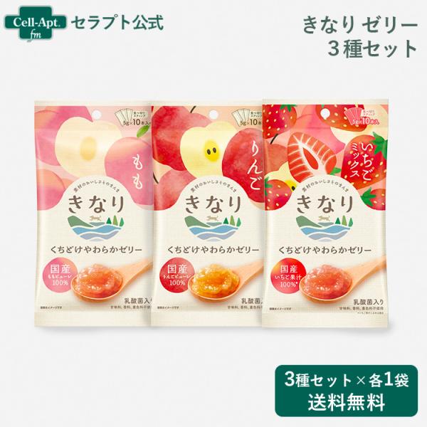 きなり くちどけやわらかゼリー 犬用 3種セット（りんご・もも・いちごミックス×各1袋）