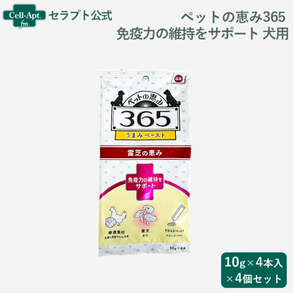 ペットの恵み365 うまみペースト 免疫力の維持をサポート 犬用 (10g×4本)×4個セット（61...