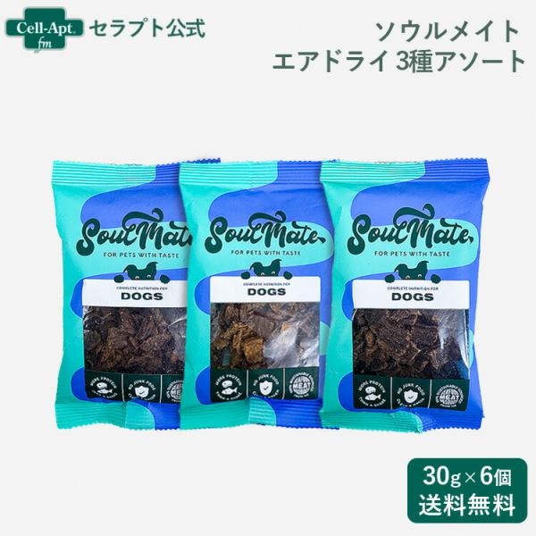ソウルメイト エアドライフード 犬用 3種アソート(シーフード・チキン・レッドミート各2個)