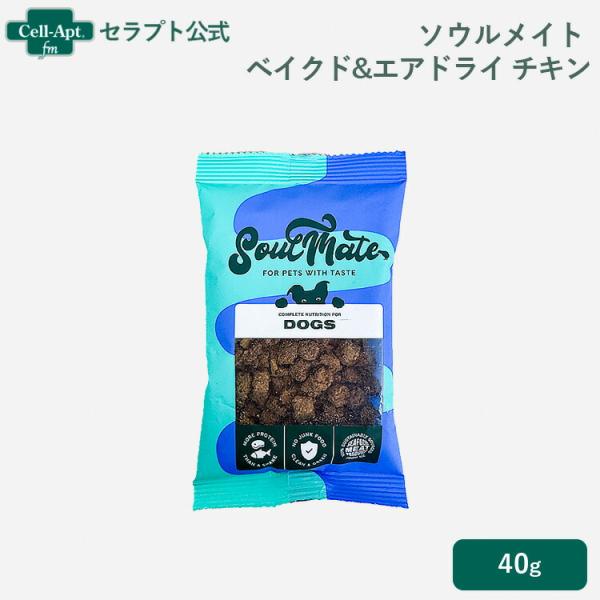 ソウルメイト ベイクド&amp;エアドライフード チキン 犬用 40g［ネコポス発送］6袋まで（80039）