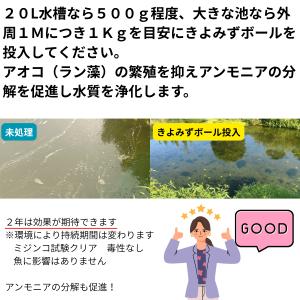 ★猛暑で大量発生中!池や水槽のアオコ対策 薬の...の詳細画像2