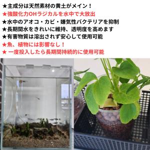 ★猛暑で大量発生中!池や水槽のアオコ対策 薬の...の詳細画像3