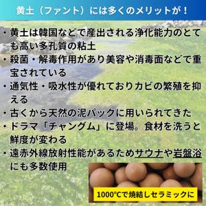 ★猛暑で大量発生中!池や水槽のアオコ対策 薬の...の詳細画像5