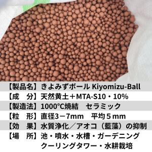 ★猛暑で大量発生中!池や水槽のアオコ対策 薬の...の詳細画像4