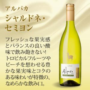 白ワイン 12本 セット サンタ ヘレナ アル...の詳細画像3