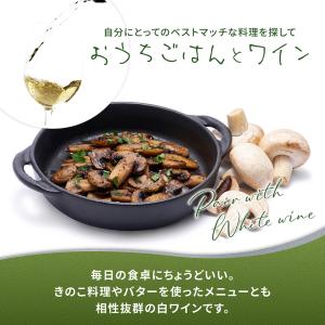 白ワイン 12本 セット サンタ ヘレナ アル...の詳細画像5