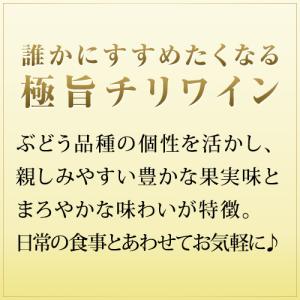 赤ワイン 12本 セット サンタ ヘレナ アル...の詳細画像2