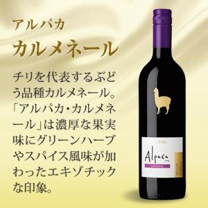 赤ワイン 12本 セット サンタ ヘレナ アル...の詳細画像3