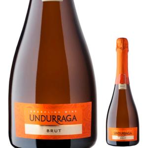 スパークリング ワイン wine チンザノ エディション セッコ 750ml×1本