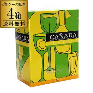 箱ワインセット 白 ボックスワイン カニャーダ ブランコ 3l 3リットル 4箱 スペイン 辛口 ケース 送料無料 長S 虎｜cellar