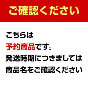 スパークリングワイン 泡 750ml 12本 ...の詳細画像2