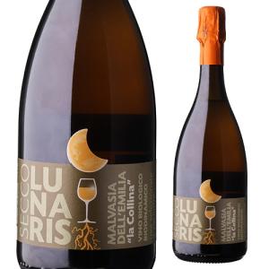 CAMPARI（カンパリ） 1000ml イタリア リキュール[N]mp : 酒のいしかわ