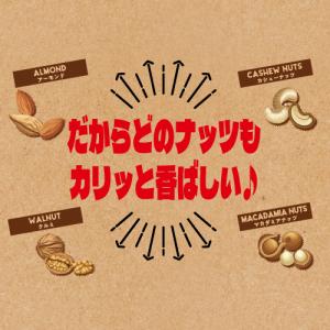 有塩ミックスナッツ 700g 1袋 有塩 賞味...の詳細画像4