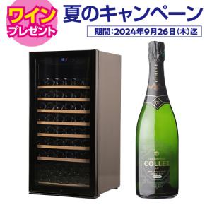 ワインセラー 家庭用 業務用 94本 ルフィエール プロライン C260  コンプレッサー式  新生活  楽天ランキングNo.1●ワイン付