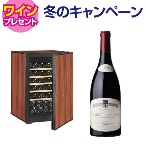 アルテビノ OP04-TB Artevino 62本 ワインセラー コンプレッサー式 家庭用 業務用...