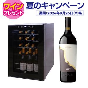 ワインセラー スタイルクレア イニッチオ inizio SI-02 ワインクーラー 21本 黒 家庭用 業務用●ワイン付
