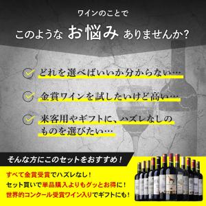 赤ワインセット ボルドー メダル総数19金 プ...の詳細画像2