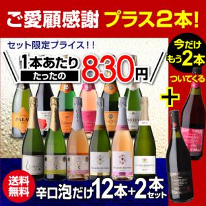 ワインセット スパークリング 12本 +2本 ...の詳細画像1