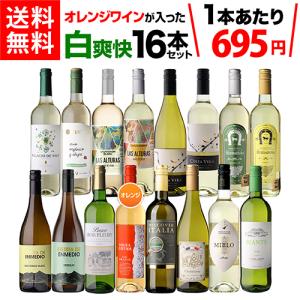 ワイン ワインセット 白セット 1本あたり695円(税込) 送料無料 目玉オレンジワイン 白爽快16本セット 36弾 白 飲み比べ 辛口  オレンジ 浜運A