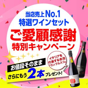 ワインセット 赤セット 赤だけ 特選 12本+...の詳細画像1