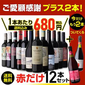 ワインセット 赤セット 赤だけ 特選 12本+...の詳細画像3
