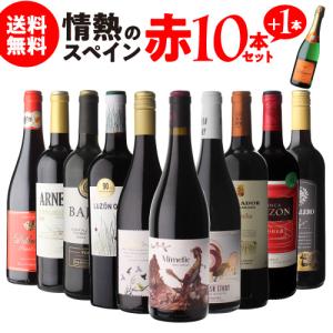 ワインセット 1本あたり1,000円 送料無料 情熱のスペイン 赤 10本セット スペシャル特典付き...