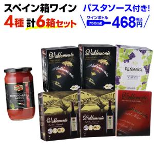 箱ワインセット 赤ワインボックス バルデモンテ赤箱  5種6箱セット  3l (3リットル)  スペイン 金賞 長S 虎｜ワイン&ワインセラーセラー専科ヤフー店