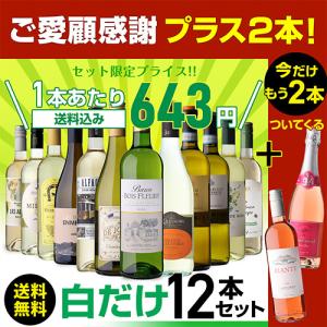 ワインセット 白セット 白だけ 特選 12本+...の詳細画像1