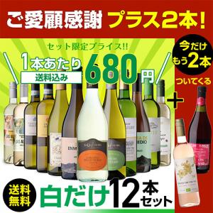 ワインセット 白セット 白だけ 特選 12本+...の詳細画像1
