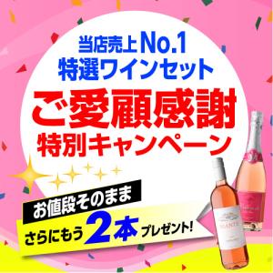 ワインセット 白セット 白だけ 特選 12本+...の詳細画像3
