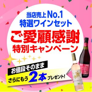 ワインセット 白セット 白だけ 特選 12本+...の詳細画像3