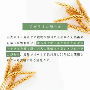 グリシルグリシン 8% 高配合 アゼライン酸 ...の詳細画像4