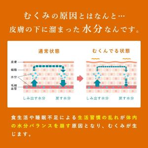 公式 かっさ 頭皮 マッサージ 木製 木 ステ...の詳細画像4