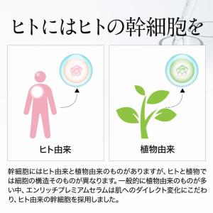 セルメソッド公式 ヒト幹細胞 お手軽保湿Aセッ...の詳細画像4