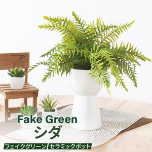 フェイクグリーン シダ セラミックポット グリーンライフ 室内ガーデン 観葉植物 人工植物 水やり不要 手入れ簡単 リラックス空間 置き型タイプ｜cellutane-s