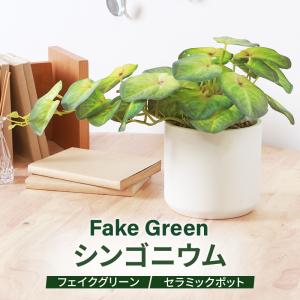 フェイクグリーン シンゴニウム セラミックポット グリーンライフ 室内ガーデン 観葉植物 人工植物 水やり不要 手入れ簡単 リラックス空間 置き型タイプ｜cellutane-s