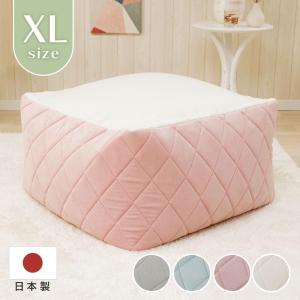 Pokemon ポケモンセンターオリジナル 蓄光クッション お月見