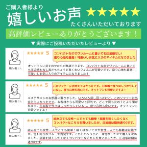 ソファー ソファ おしゃれ 北欧 2人掛け く...の詳細画像1