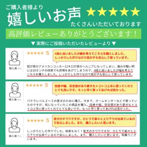ドッグステップ ペットスロープ スロープ ペッ...の詳細画像1
