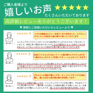 ドッグステップ ペットスロープ スロープ ペッ...の詳細画像1