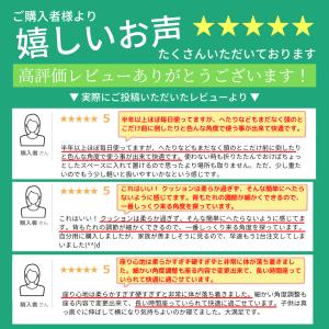 座椅子 腰痛 一人掛け 日本製 Beginで話...の詳細画像1
