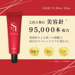 GASI エスショットワン 50g 【アウトレ...の詳細画像3