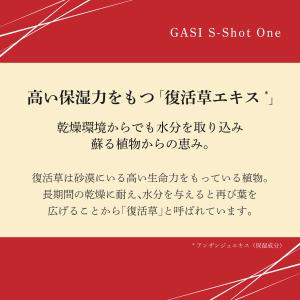 GASI エスショットワン 50g 【アウトレ...の詳細画像4